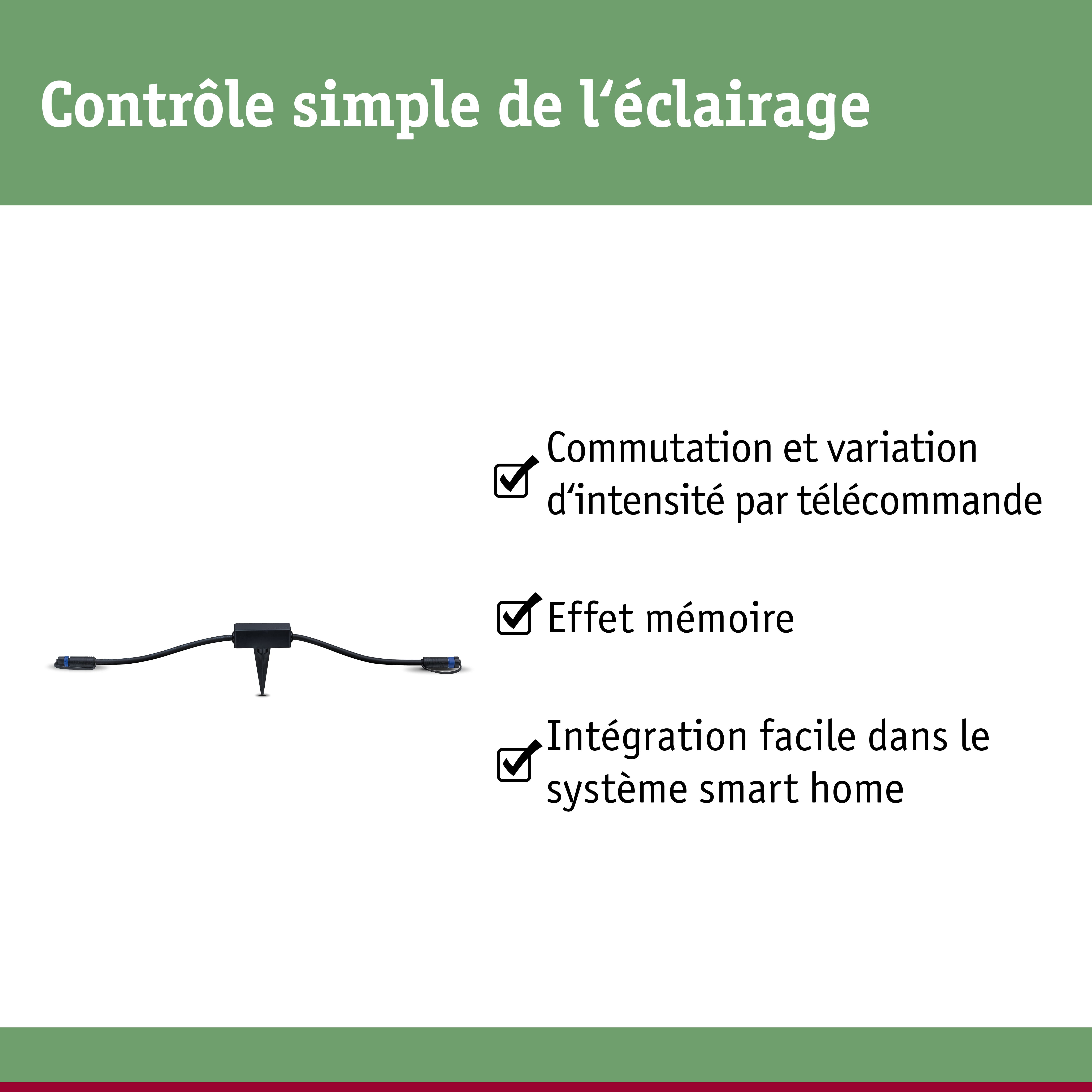 Câble noir avec connecteurs et piquet de terre pour contrôle simple de l'éclairage domotique