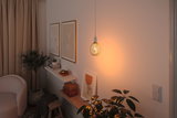 Warme hanglamp met goudkleurig gaasglas in moderne woonkamer met planten en houten planken.