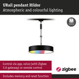 URail Hildor black pendant light with colorful lighting, controllable via app and voice command