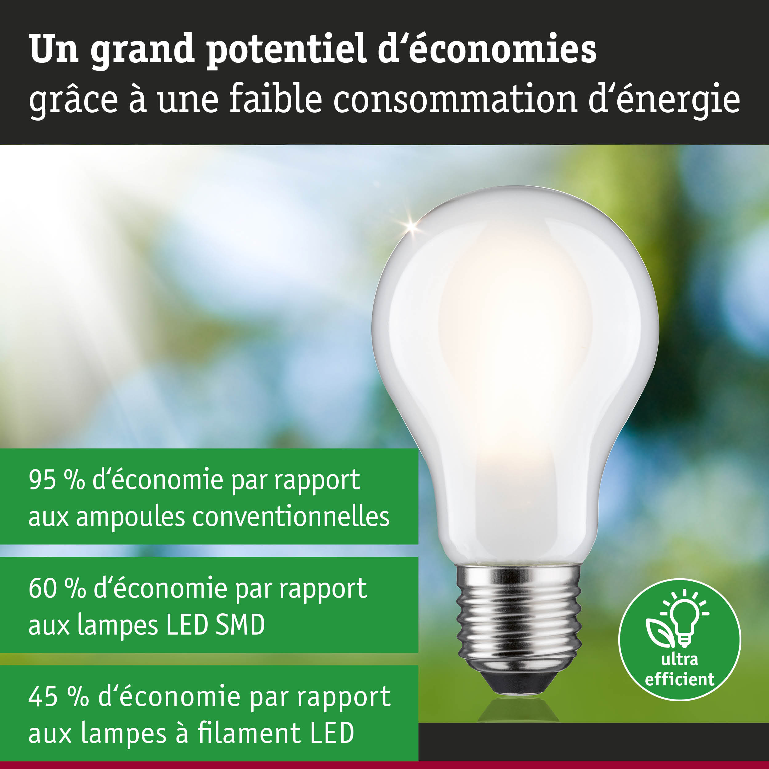 Ampoule basse consommation en verre blanc avec base métallique montrant l'économie d'énergie par rapport aux LED et ampoules classiques