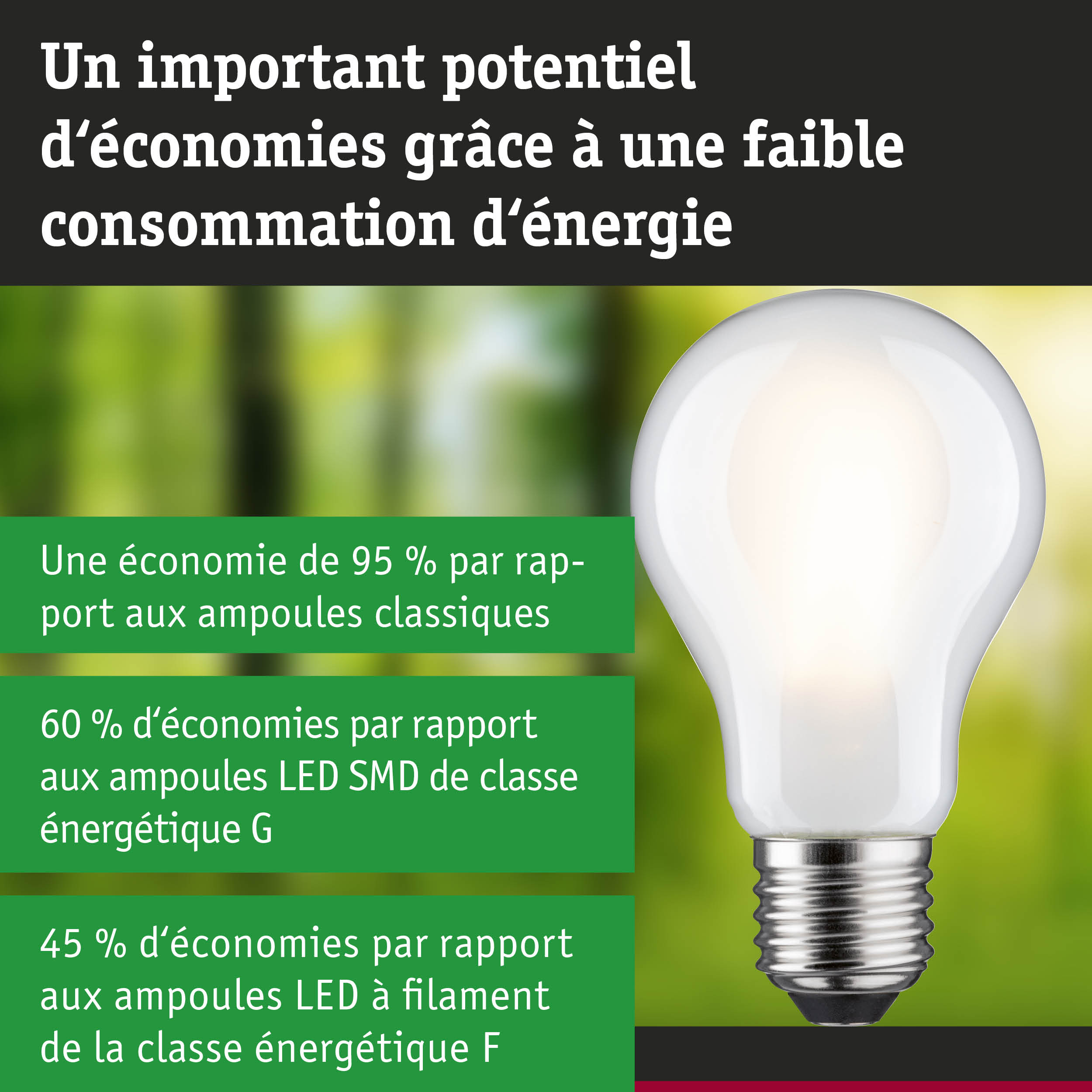 Ampoule basse consommation en verre blanc avec base métallique montrant l'économie d'énergie par rapport aux LED et ampoules classiques