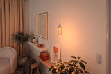 Warm glass mesh pendant lamp in modern living room with plants and wooden shelf lighting.