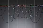 Mehrfarbige LED-Lichterkette mit schwarzen Kabeln an Ast hängend, Dekoration für Innen und Außen