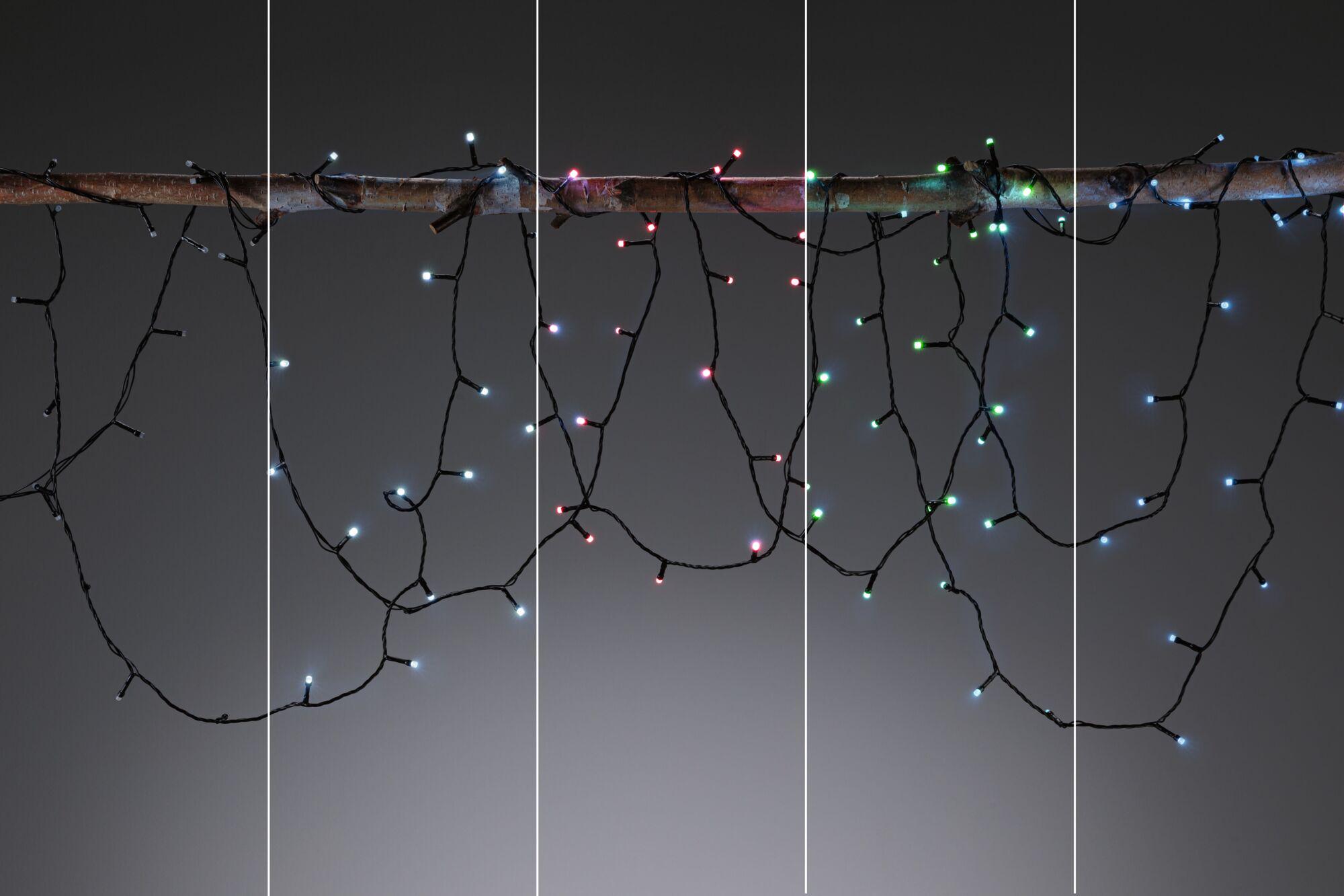Mehrfarbige LED-Lichterkette mit schwarzen Kabeln an Ast hängend, Dekoration für Innen und Außen