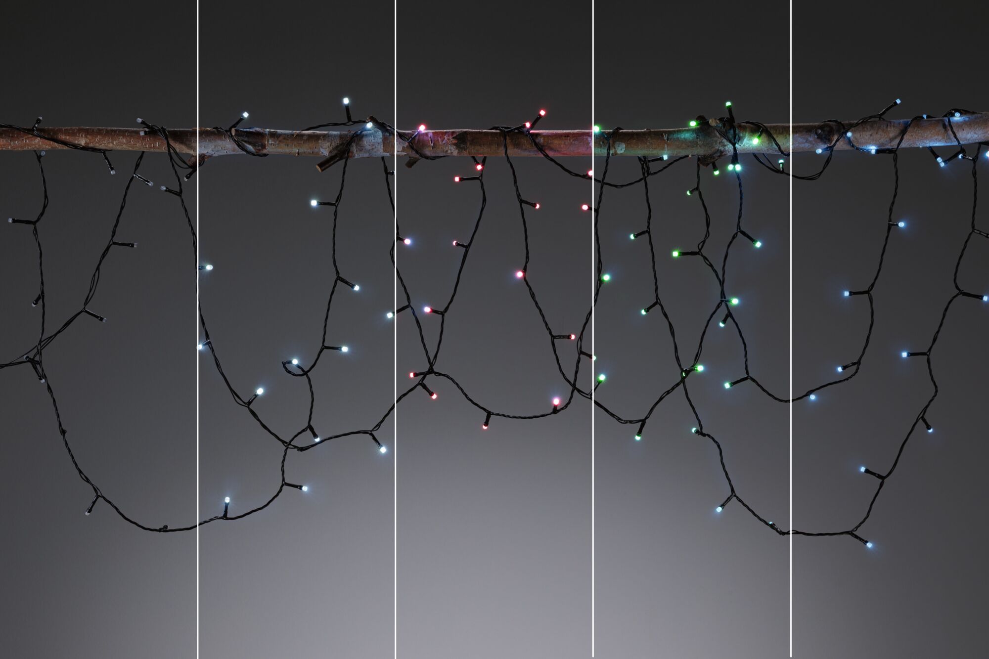 Mehrfarbige LED-Lichterkette mit schwarzen Kabeln an Ast hängend, Dekoration für Innen und Außen