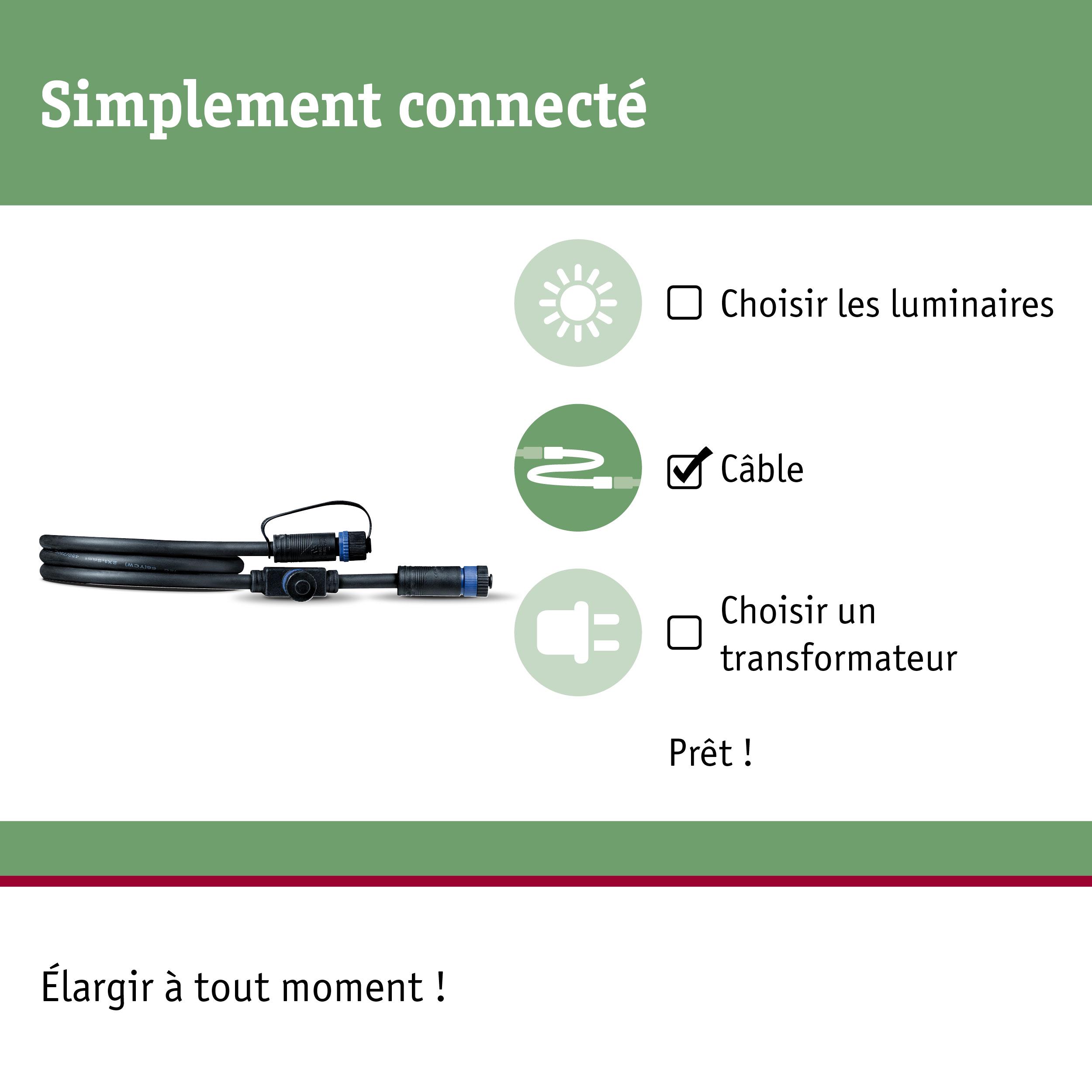 Câble de connexion noir avec connecteurs pour systèmes d'éclairage, simple à brancher et à étendre