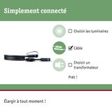 Câble de connexion noir avec connecteurs pour systèmes d'éclairage, simple à brancher et à étendre