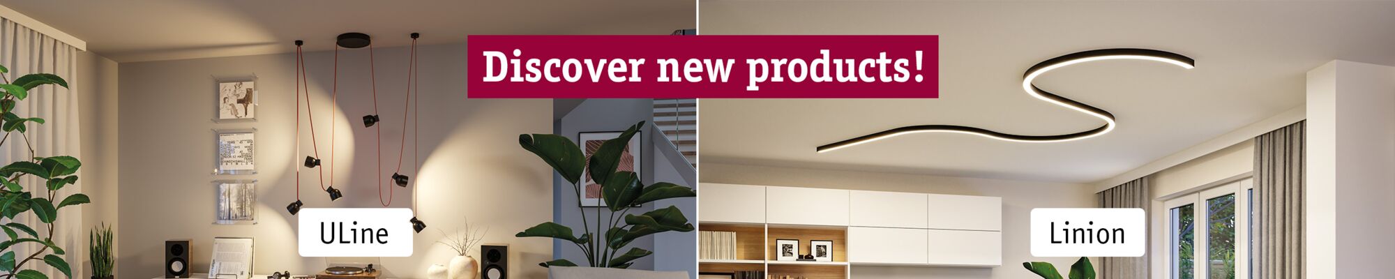 Neuheiten Entdecken Banner