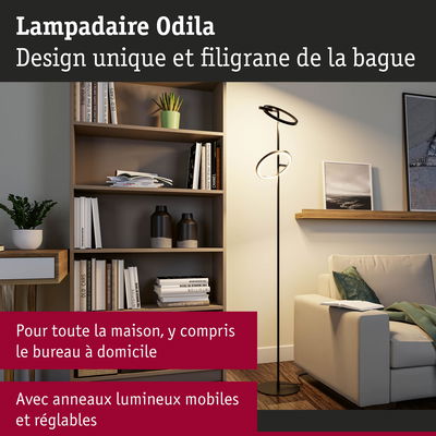 Lampadaire noir Odila avec anneaux LED réglables dans un salon moderne avec bibliothèque et canapé
