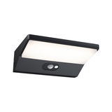 Schwarze LED-Wandleuchte mit Bewegungsmelder und weißem Diffusor für Außenbereiche