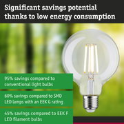 Energy-saving clear glass LED light bulb with silver base for efficient sustainable lighting