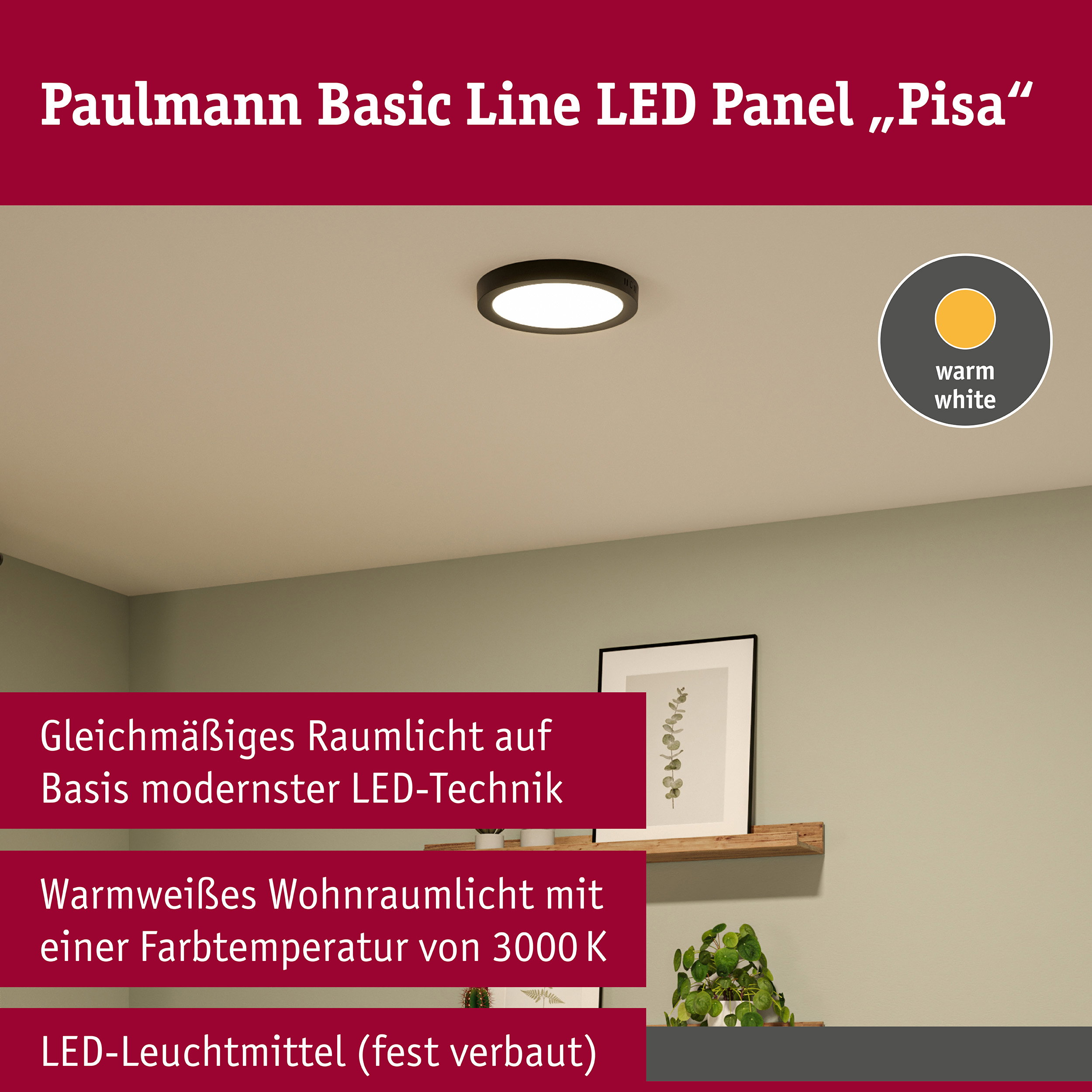 LED Panel Pisa 3000K 290mm 1800lm 17,6W Schwarz matt
