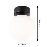 Ronde plafondlamp met wit glas en zwarte metalen houder, 170 mm diameter, 215 mm hoog