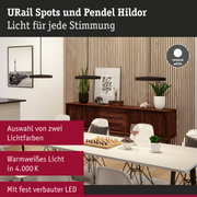 Moderne Pendelleuchten in Schwarz mit neutralweißem Licht vor Holzlamellenwand im Esszimmer