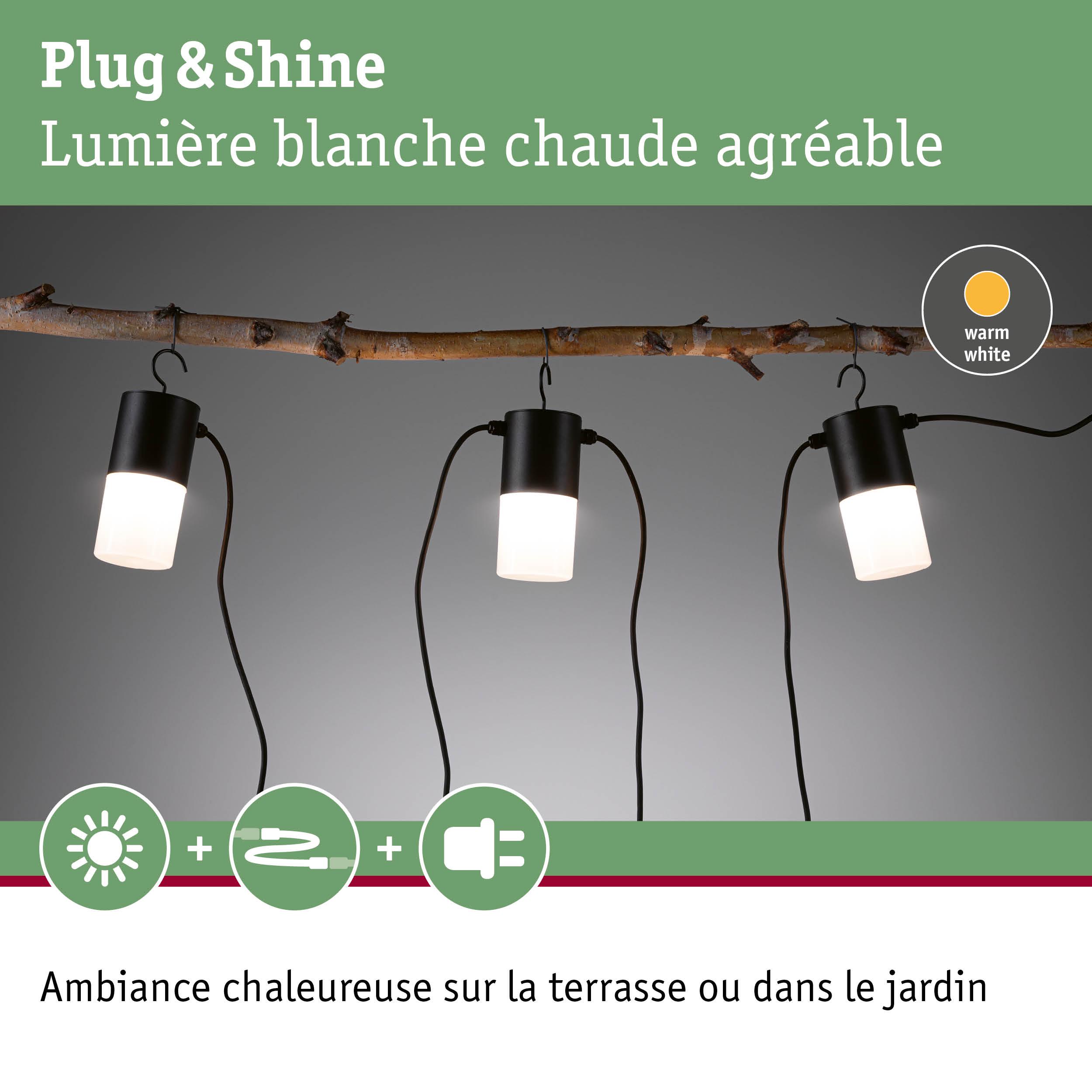 Lampes LED Plug & Shine noires avec lumière blanche chaude suspendues sur branche pour terrasse et jardin