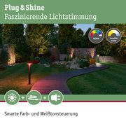Gartenweg mit Plug & Shine LED-Außenleuchten in RGBW und einstellbarem Weißton für stimmungsvolle Beleuchtung