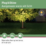 Groene boom verlicht met warm wit Plug & Shine LED-licht voor tuin en terrasverlichting