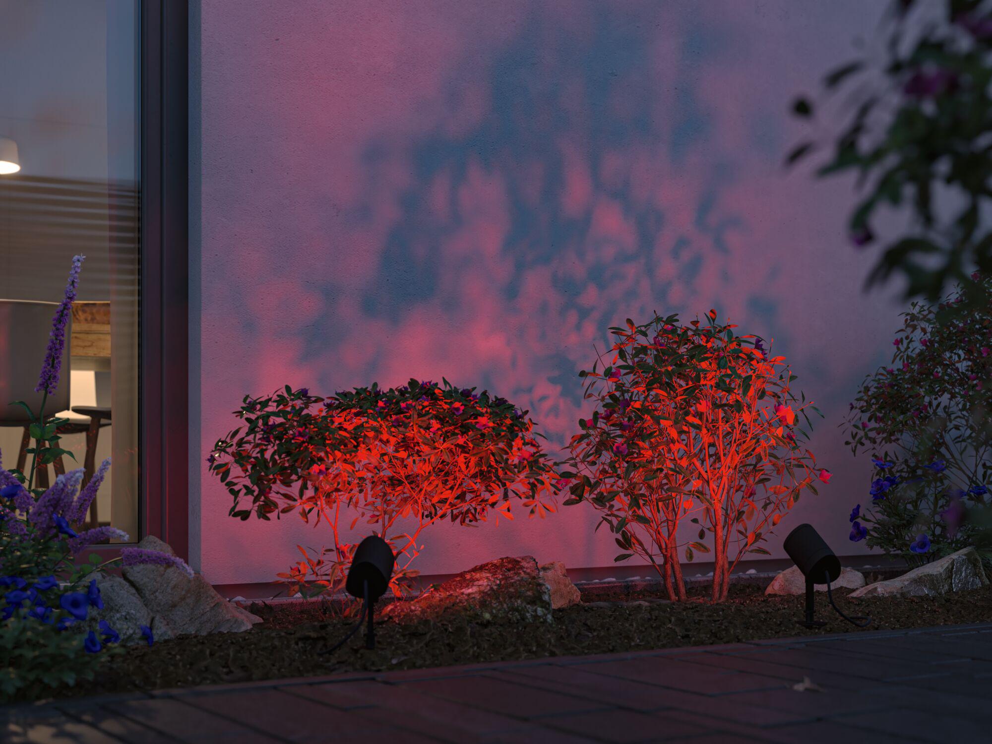 Outdoor spotlights illuminate green bushes with red light against house wall, garden lighting at dusk