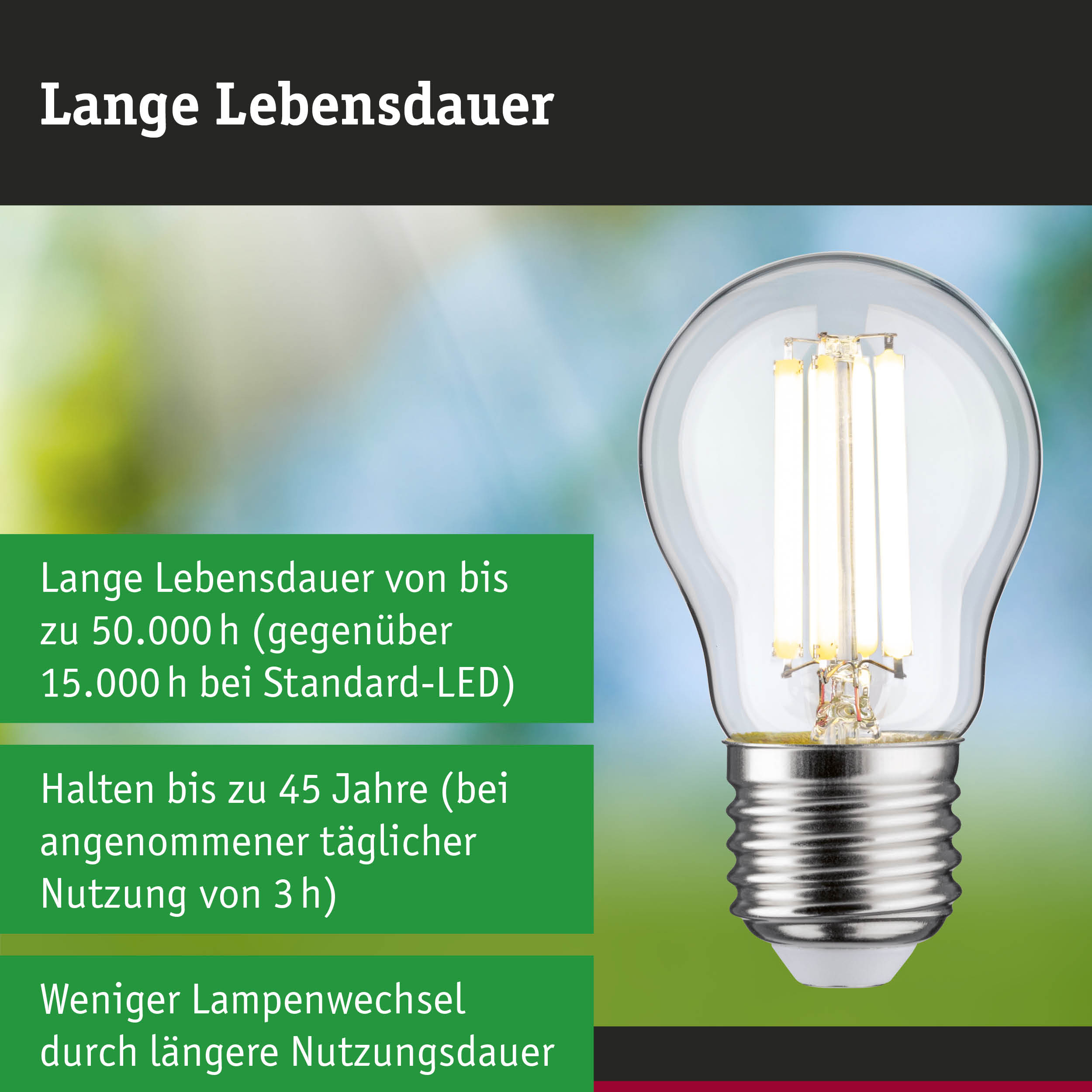 LED-Lampe mit längerer Lebensdauer in Hand, nachhaltige energiesparende Glühbirne