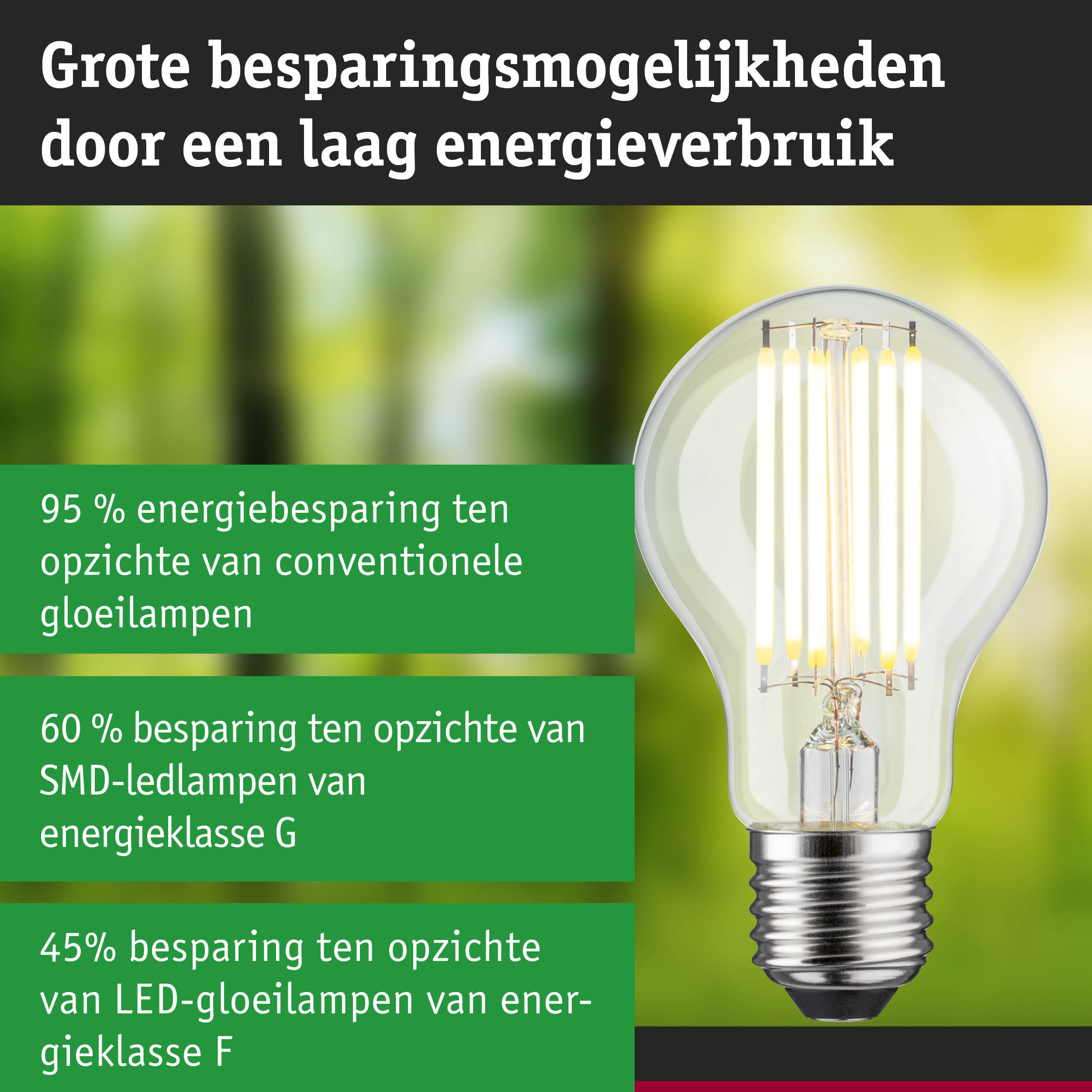 Heldere LED-filamentlamp met glazen behuizing voor hoge energie-efficiëntie en lange levensduur