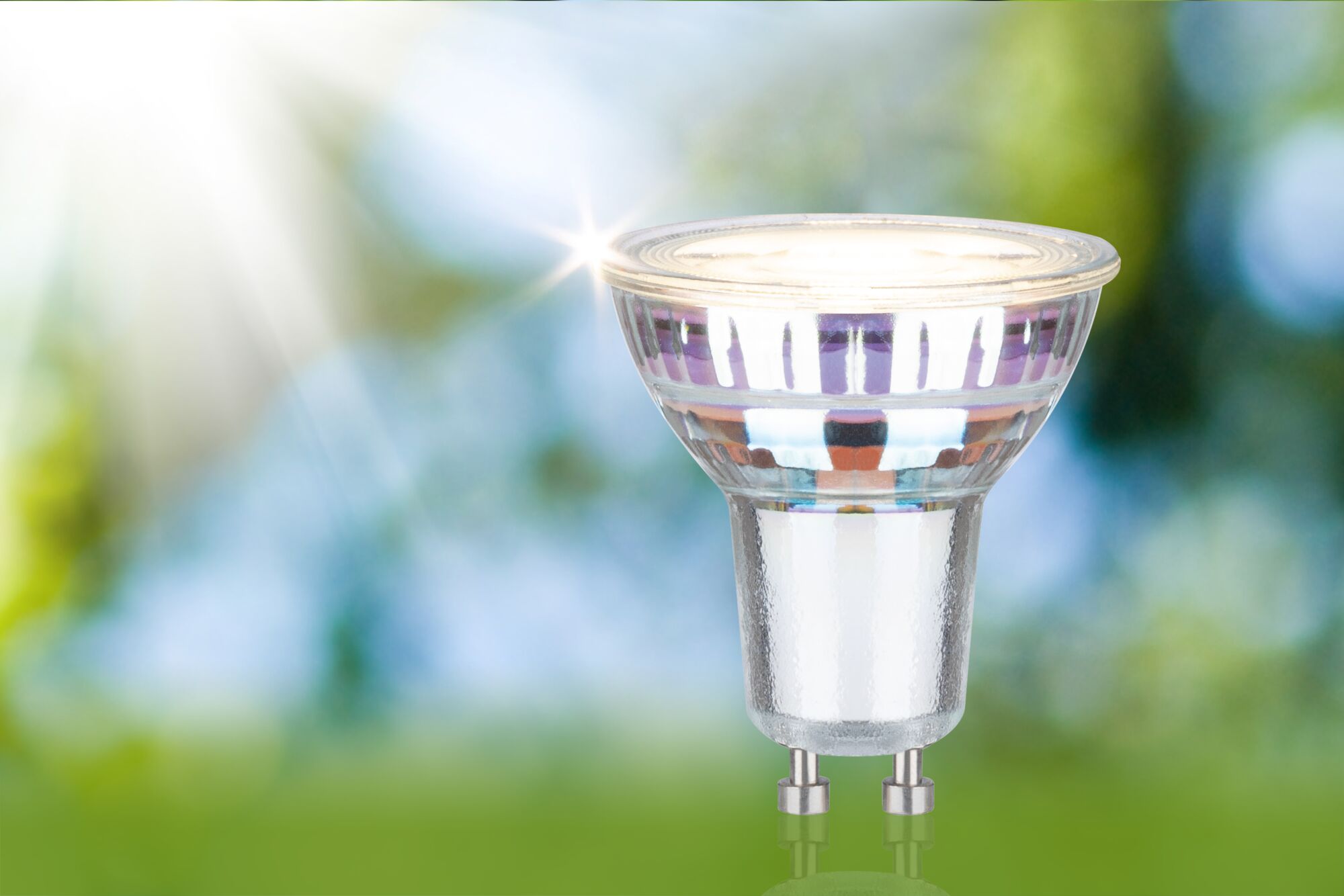 Clear GU10 LED bulb with glass housing providing energy-efficient indoor lighting