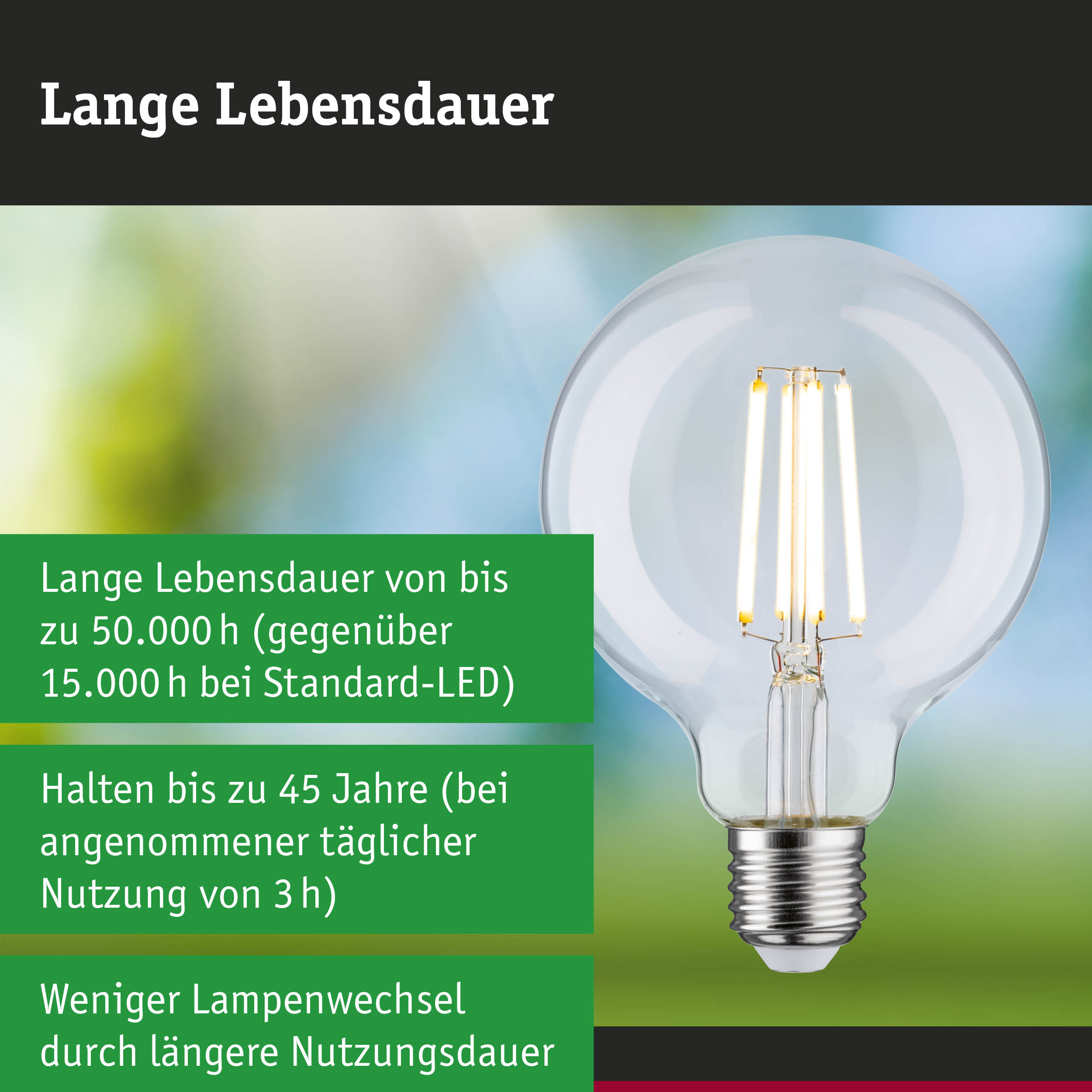 Efficient-Line Filament 230V LED Globe G95 E27 840lm 4W 3000K Klar