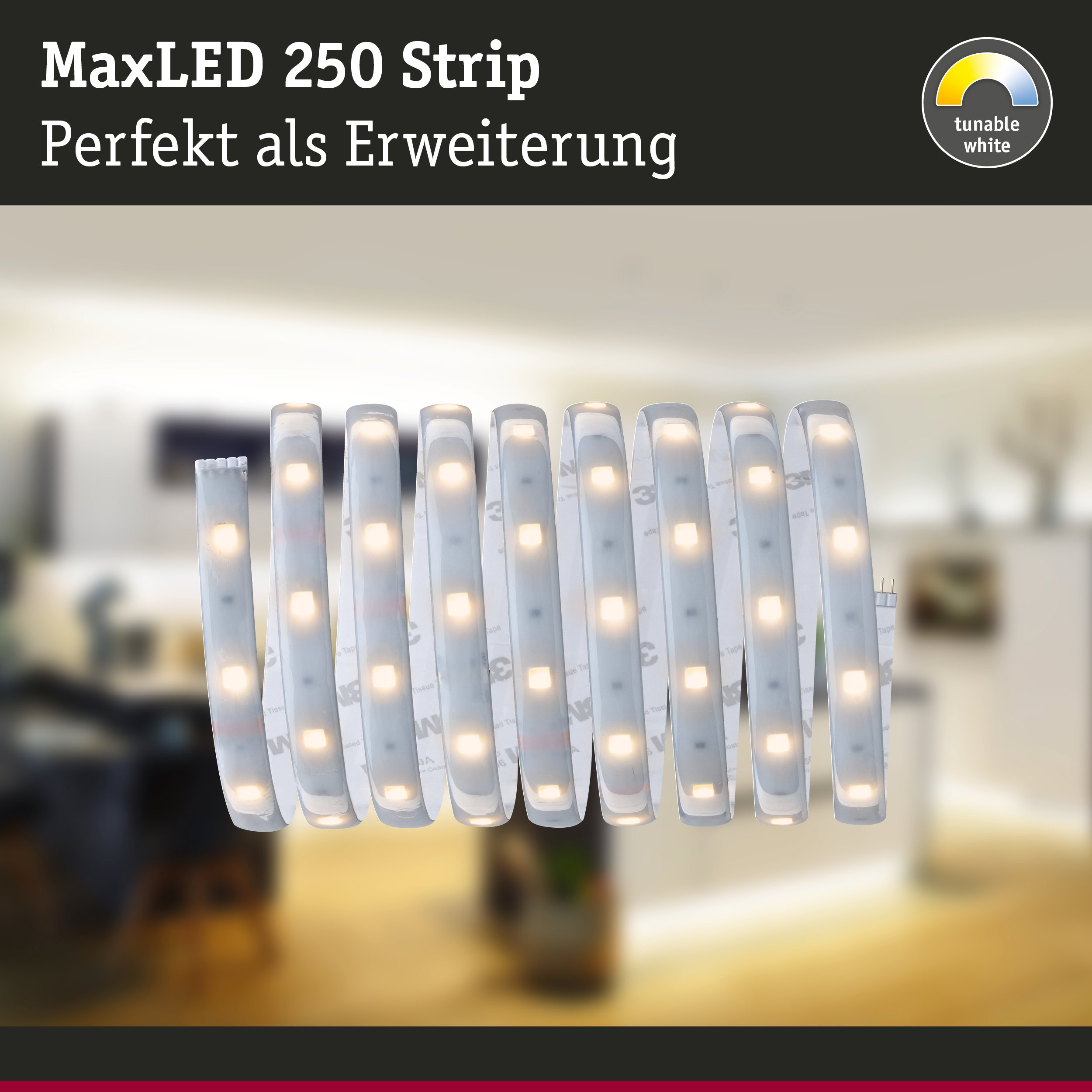 MaxLED 250 Strip mit einstellbarem Weißlicht, flexible LED-Lichtleiste für Wohnraumbeleuchtung