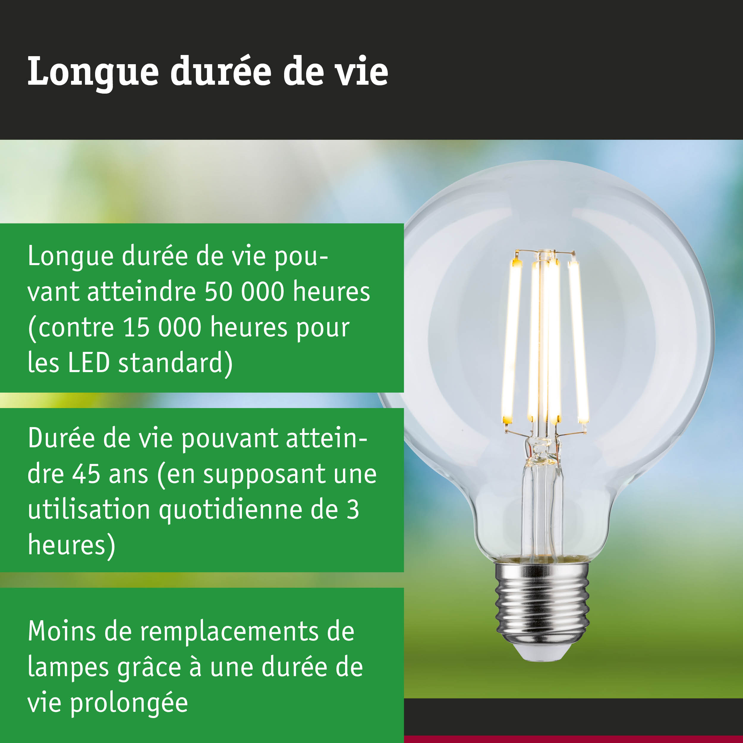 Ampoule LED à longue durée de vie tenue en main, lampe économique et durable