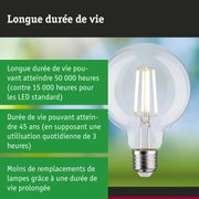 Ampoule LED à longue durée de vie tenue en main, lampe économique et durable
