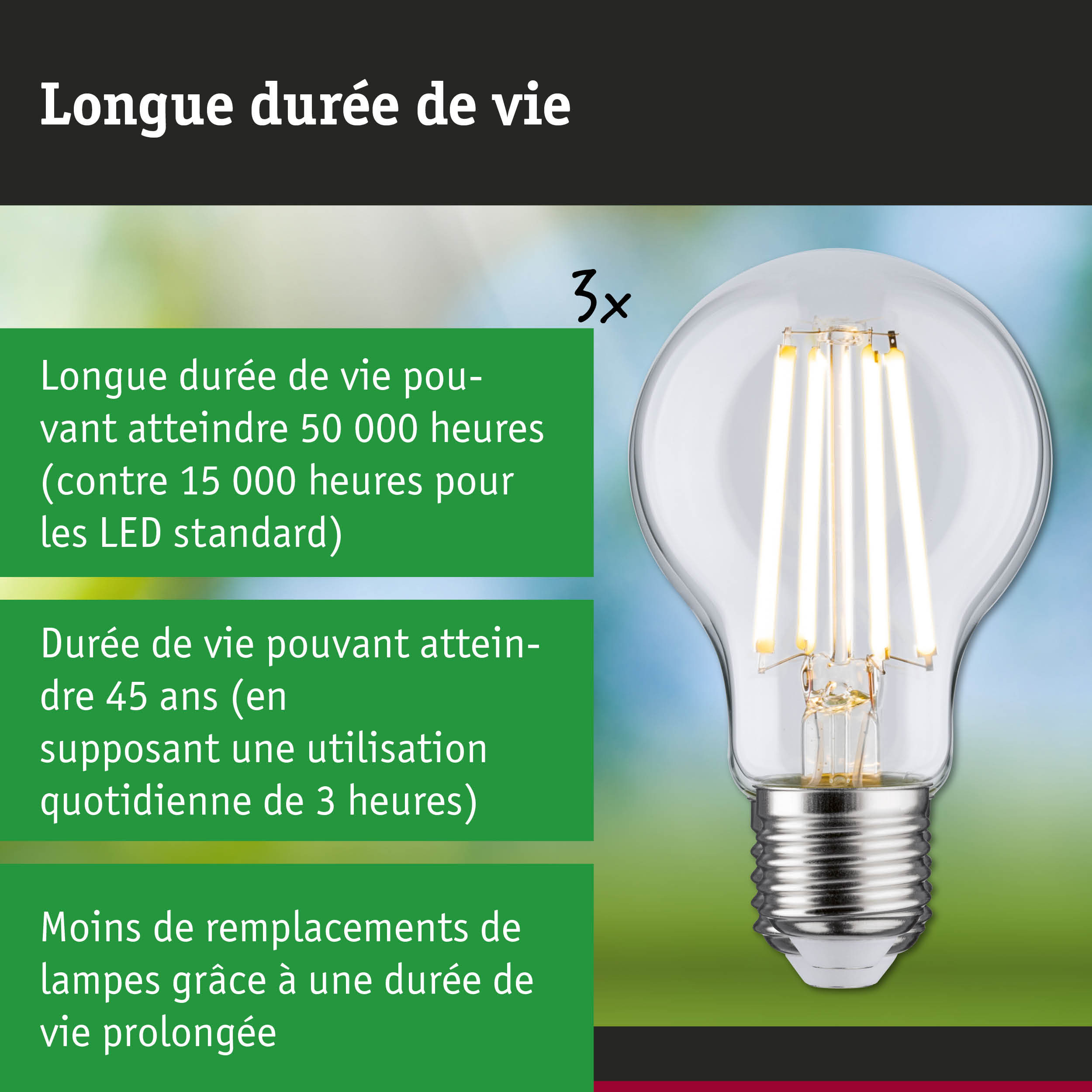 Ampoule LED à longue durée de vie tenue en main, éclairage durable et économique