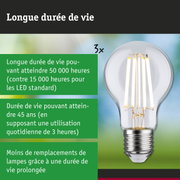 Ampoule LED à longue durée de vie tenue en main, éclairage durable et économique