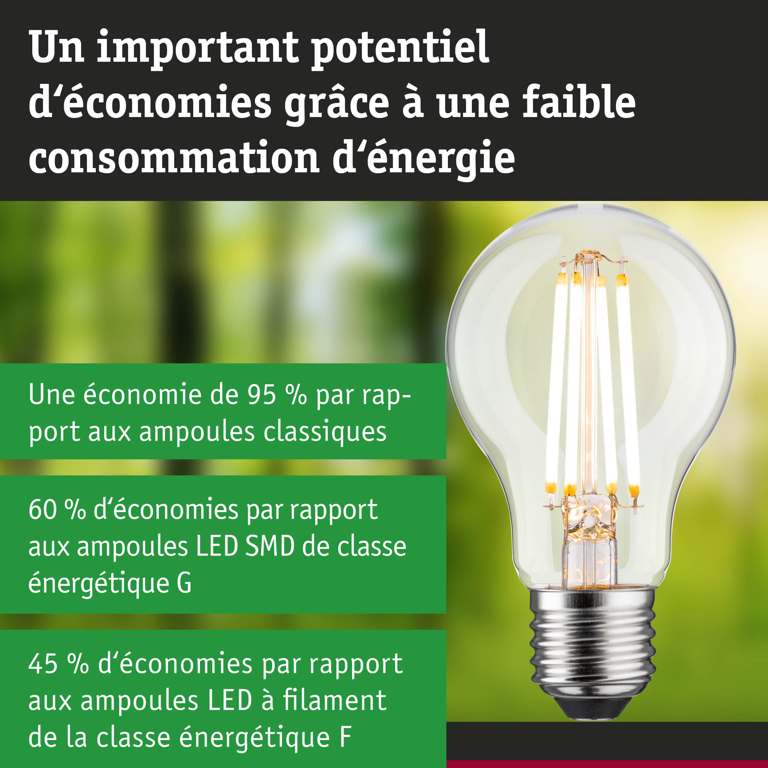 Ampoule LED économique à verre transparent et base argentée pour un éclairage efficace et écologique