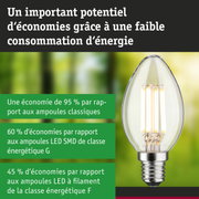 Ampoule LED économique à verre transparent avec culot à vis, solution d'éclairage efficace