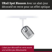 URail Spot Blossom avec abat-jour décoratif en verre gris pour un éclairage doux sans éblouissement