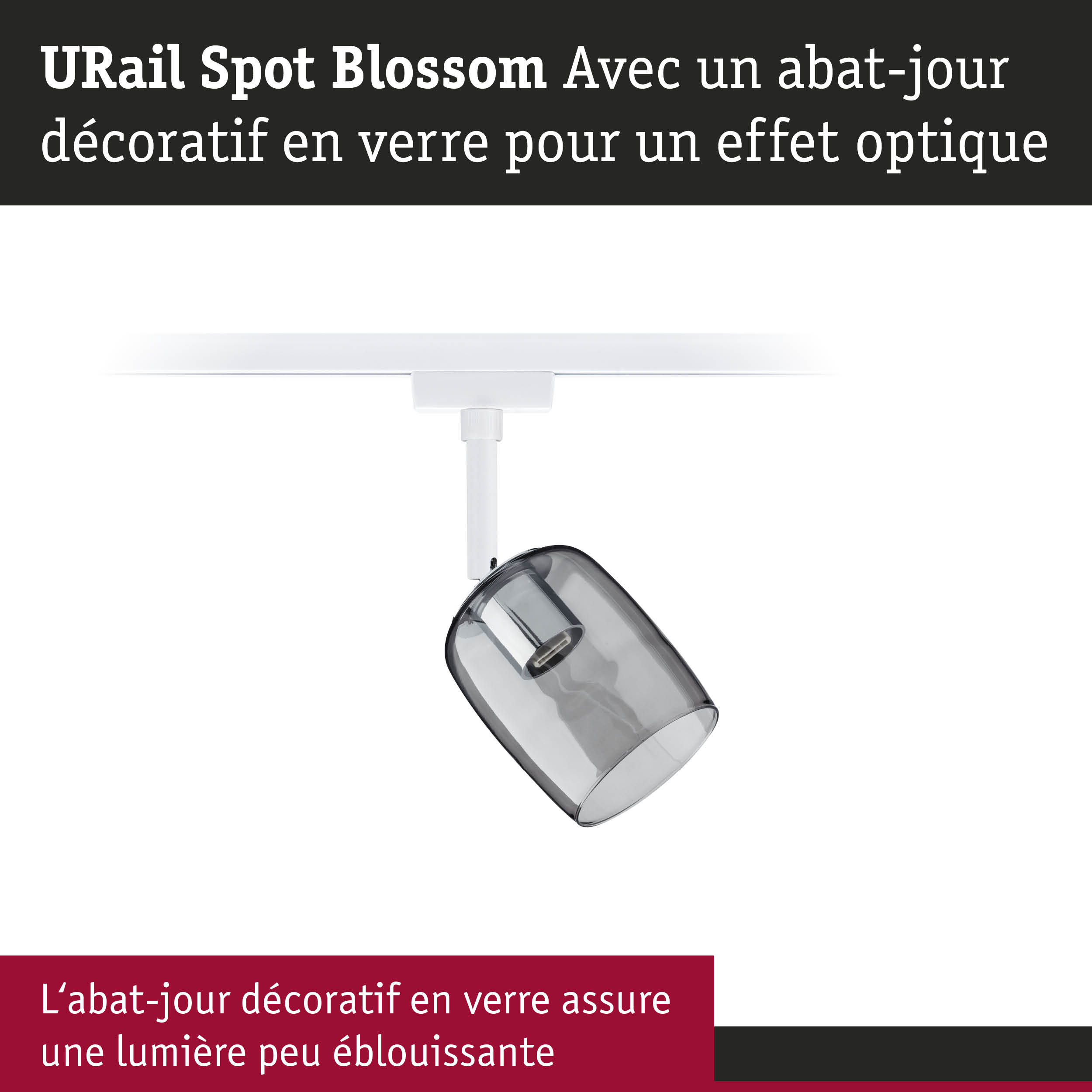 URail Spot Blossom avec abat-jour décoratif en verre gris pour un éclairage doux sans éblouissement