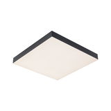 Square ceiling light with black aluminum frame and white diffuser for modern room lighting