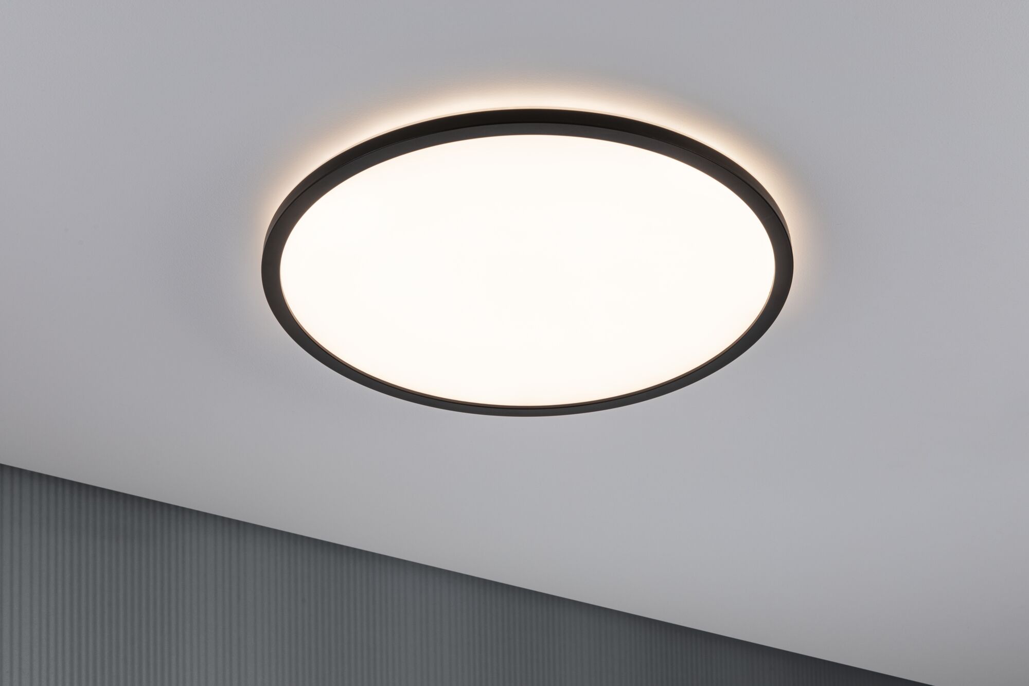 Round ceiling light with black metal frame and warm white LED for modern interior lighting