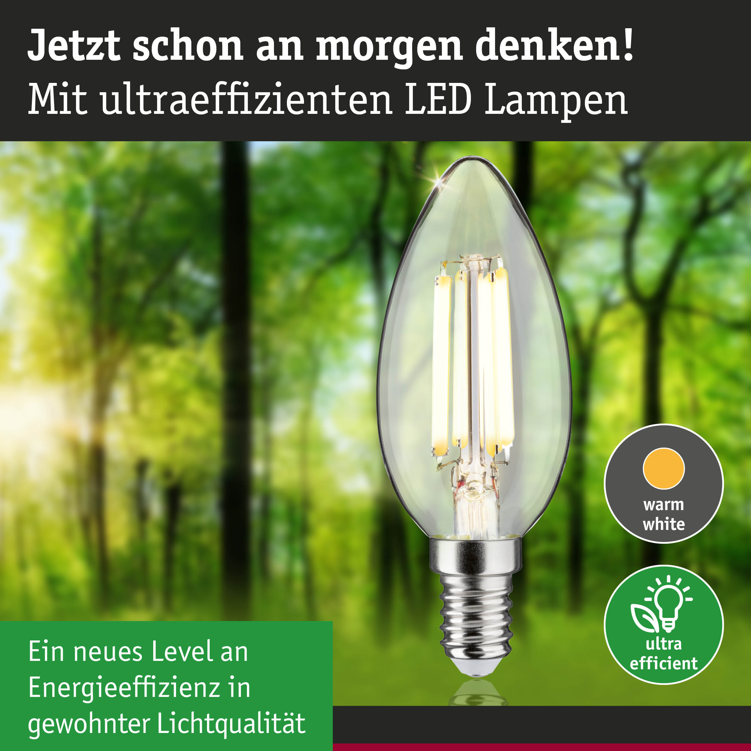 Klarer LED-Leuchtmittel in Kerzenform mit warmweißem Licht und hoher Energieeffizienz