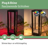Zwarte buitenlantaarn met RGBW- en witlichtregeling voor sfeervolle tuinverlichting