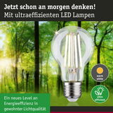 Klarer LED-Leuchtmittel mit warmweißem Licht und hoher Energieeffizienz vor grünem Waldhintergrund