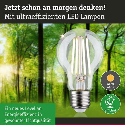 Klarer LED-Leuchtmittel mit warmweißem Licht und hoher Energieeffizienz vor grünem Waldhintergrund