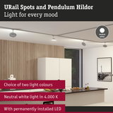 Modern URail spotlights with neutral white 4000K LED light in white kitchen with wood panel wall