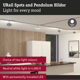 Modern URail Spots and Pendulum Hildor with neutral white 4000K LED light for versatile room lighting