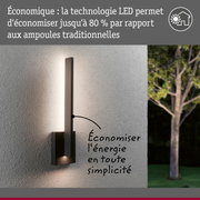 Applique murale LED anthracite moderne avec éclairage extérieur économique sur mur texturé