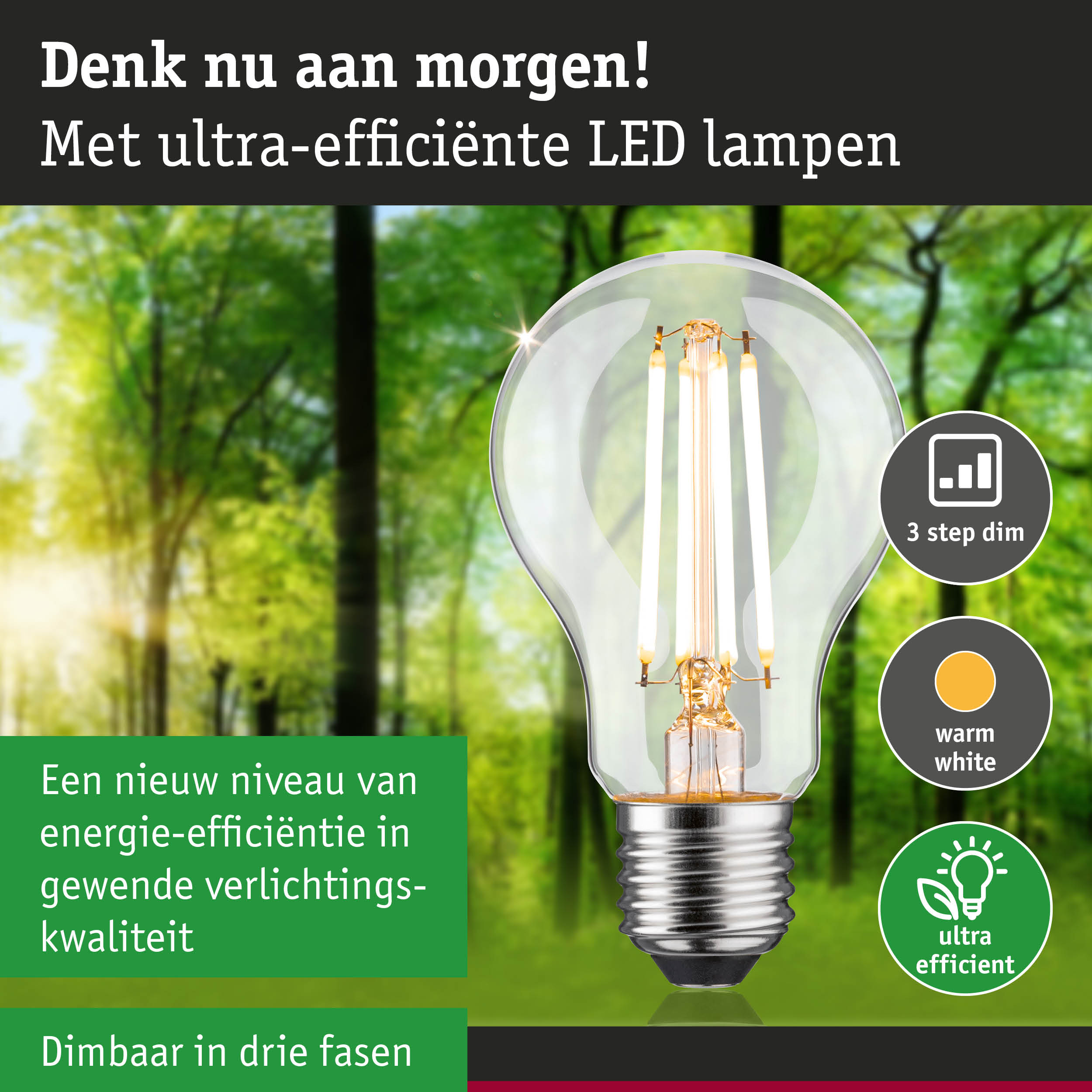 Transparante LED-lamp met warm wit licht en 3-staps dimfunctie tegen groene bosachtergrond
