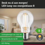 Transparante LED-lamp met warm wit licht en 3-staps dimfunctie tegen groene bosachtergrond