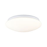 Round white LED ceiling light with opal plastic diffuser for modern room lighting