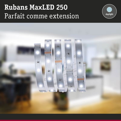 Rubans MaxLED 250 bandes LED flexibles en blanc lumière du jour parfaites pour extension