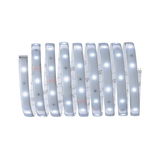 Flexible LED strip light with white LEDs and adhesive backing for versatile lighting applications