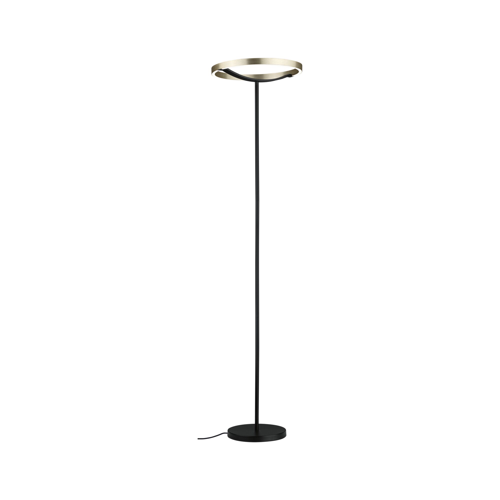 Modern black metal floor lamp with gold LED ring for stylish ambient lighting in living spaces